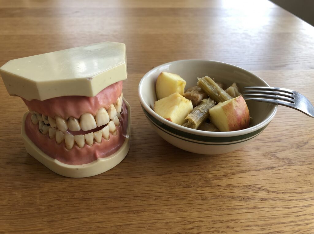 Chewing & Digestion Issues